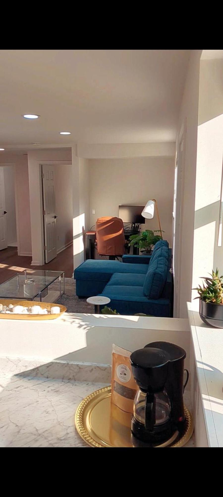 Apartment Garden Level Gem Of A 1br Suite! Charlotte